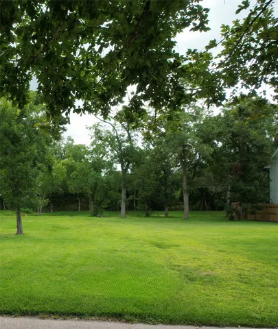 a view of green field with trees in the background