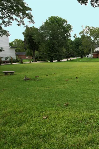 a view of field with grass and trees