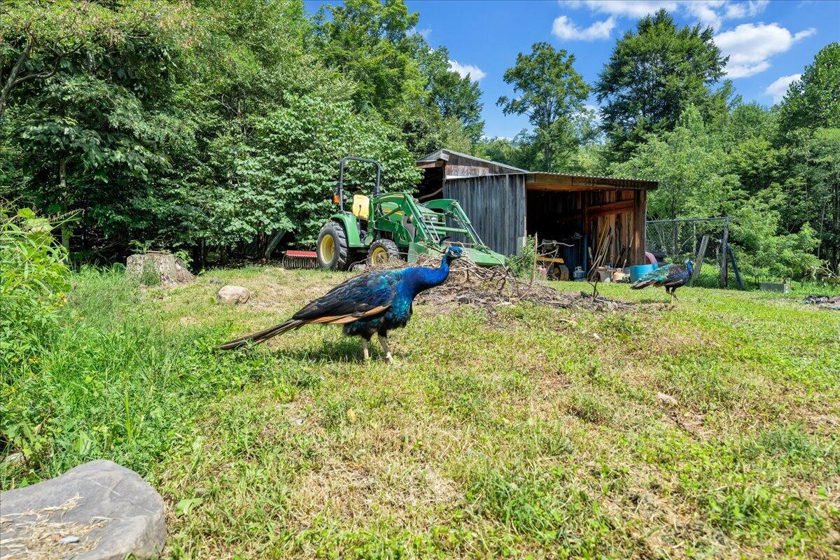 5020 Grove Hill Road Fincastle, VA 24090 - Photo 46 of 96 053-MIB07164