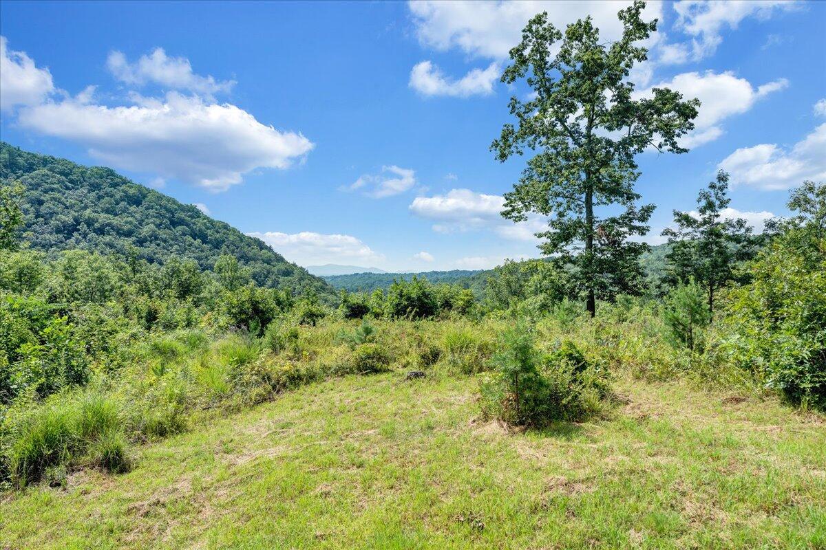 5020 Grove Hill Road Fincastle, VA 24090 - Photo 47 of 96 054-MIB07167