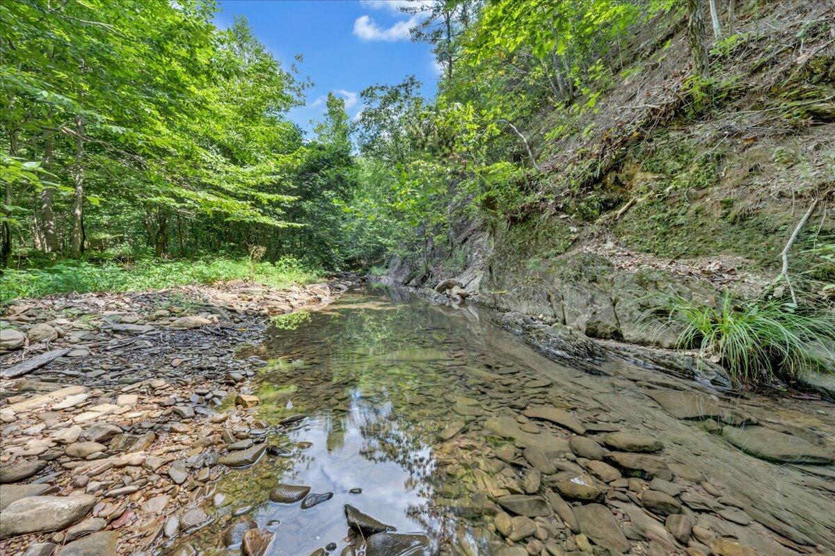 5020 Grove Hill Road Fincastle, VA 24090 - Photo 63 of 96 070-MIB07221