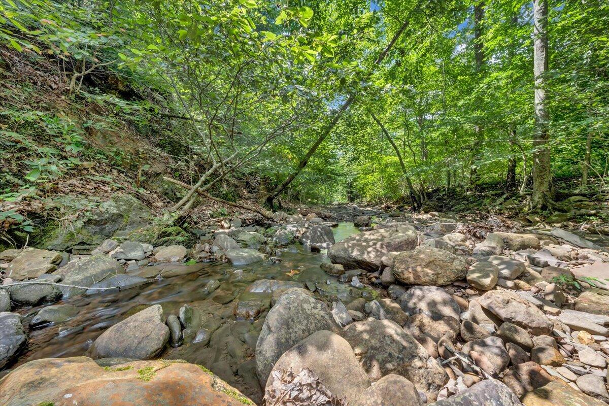 5020 Grove Hill Road Fincastle, VA 24090 - Photo 64 of 96 071-MIB07224