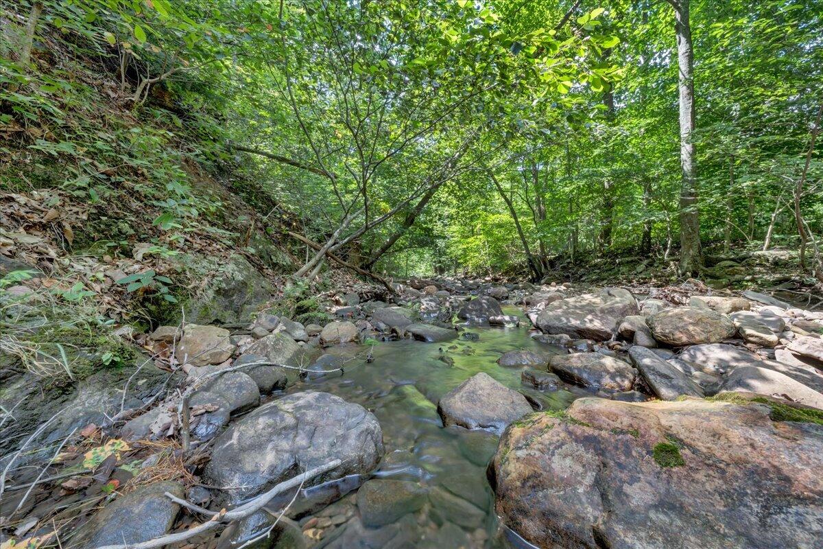 5020 Grove Hill Road Fincastle, VA 24090 - Photo 65 of 96 073-MIB07230