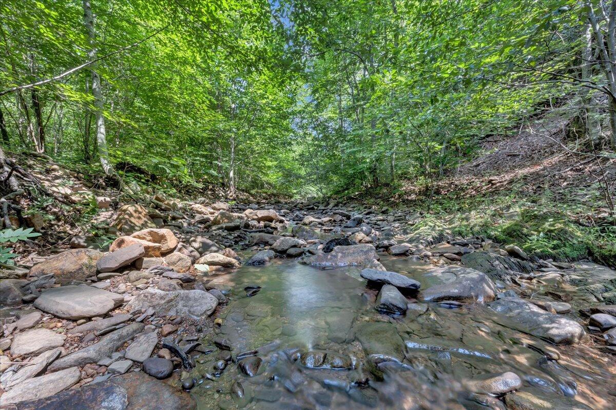 5020 Grove Hill Road Fincastle, VA 24090 - Photo 67 of 96 076-MIB07239