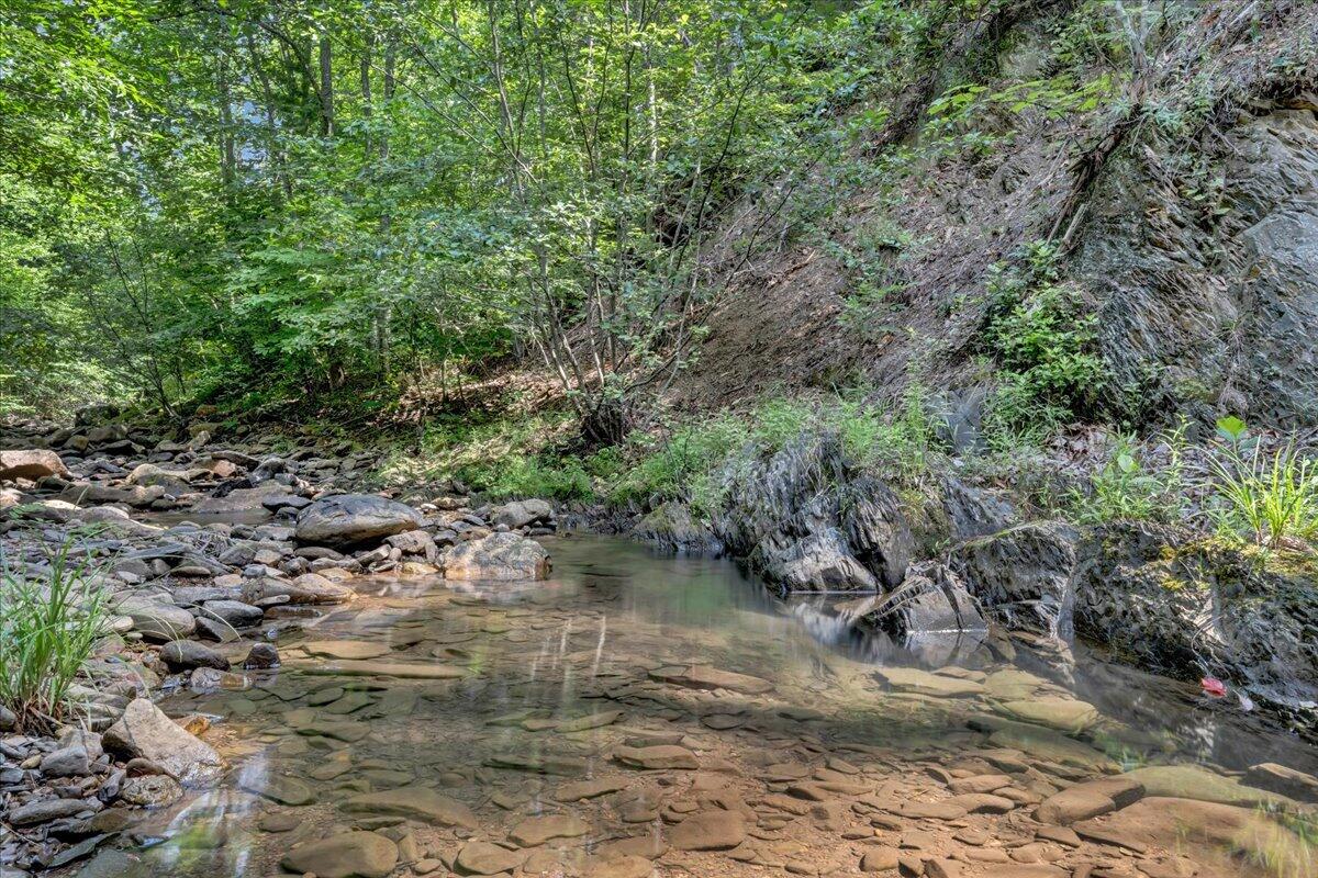 5020 Grove Hill Road Fincastle, VA 24090 - Photo 70 of 96 079-MIB07248