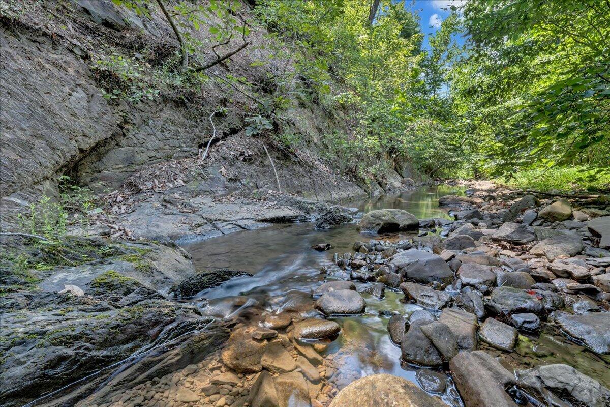 5020 Grove Hill Road Fincastle, VA 24090 - Photo 71 of 96 080-MIB07251