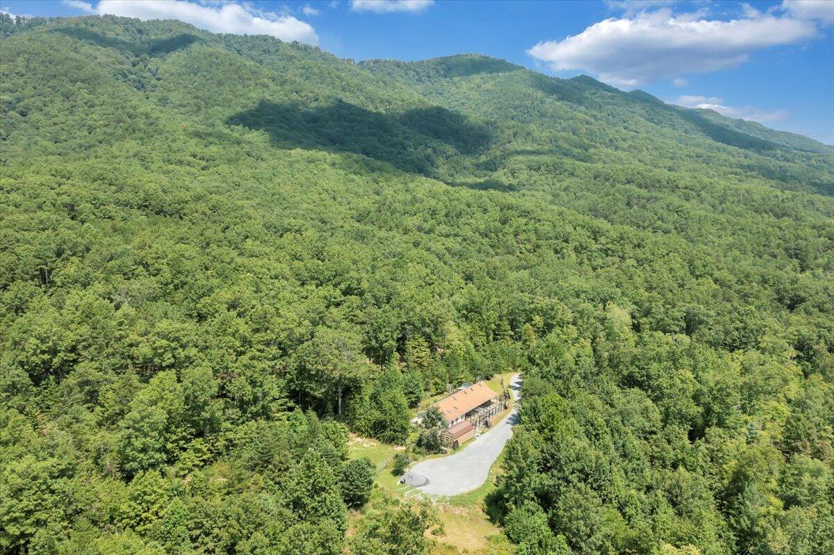 5020 Grove Hill Road Fincastle, VA 24090 - Photo 78 of 96 087-DJI_0034