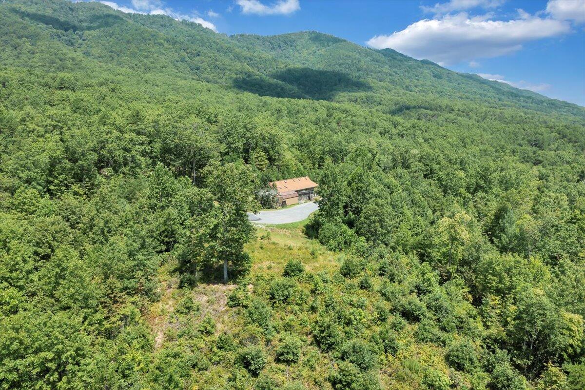 5020 Grove Hill Road Fincastle, VA 24090 - Photo 79 of 96 088-DJI_0035