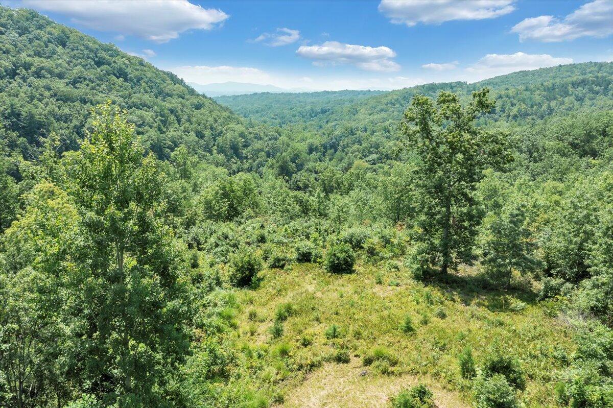 5020 Grove Hill Road Fincastle, VA 24090 - Photo 82 of 96 091-DJI_0038