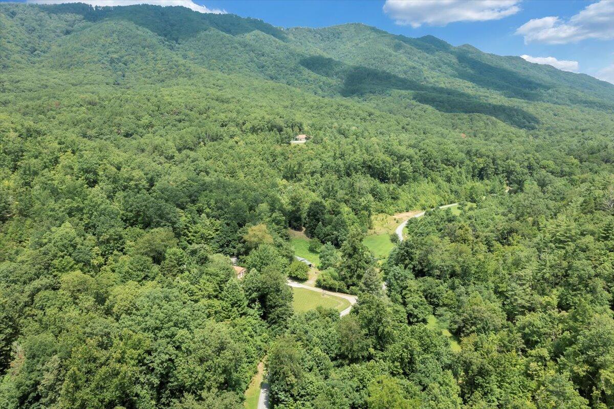 5020 Grove Hill Road Fincastle, VA 24090 - Photo 92 of 96 101-DJI_0058