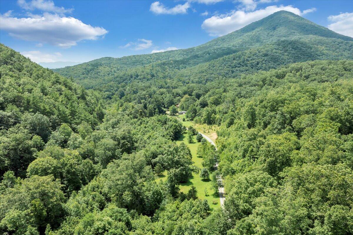 5020 Grove Hill Road Fincastle, VA 24090 - Photo 93 of 96 102-DJI_0060