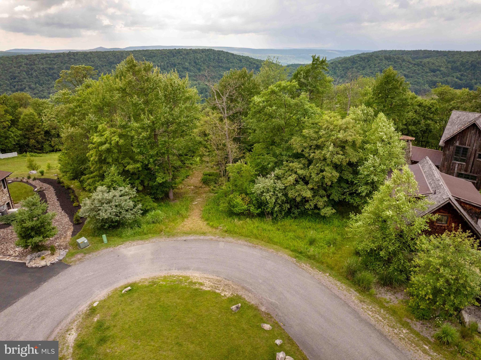 Lot 87 Lower Camp Road McHenry, MD 21541 - Photo 8 of 12