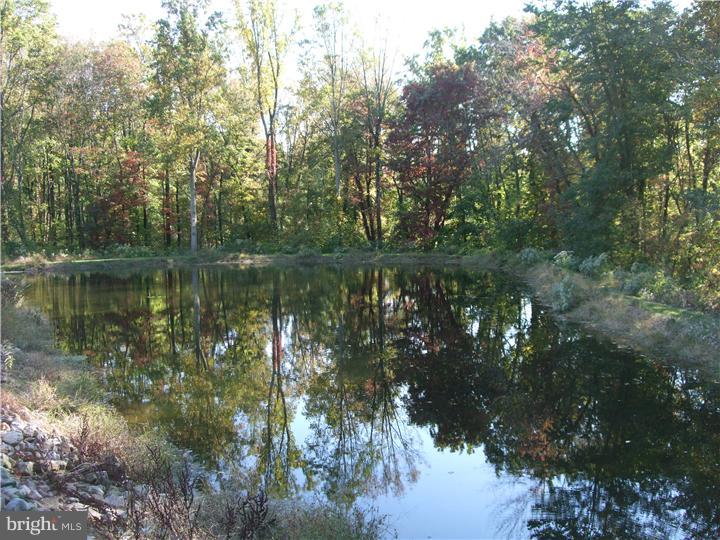 3057 Pricetown Road Temple, PA 19560 - Photo 20 of 21 Lake / Pond