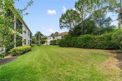 a view of a big yard with plants and large trees