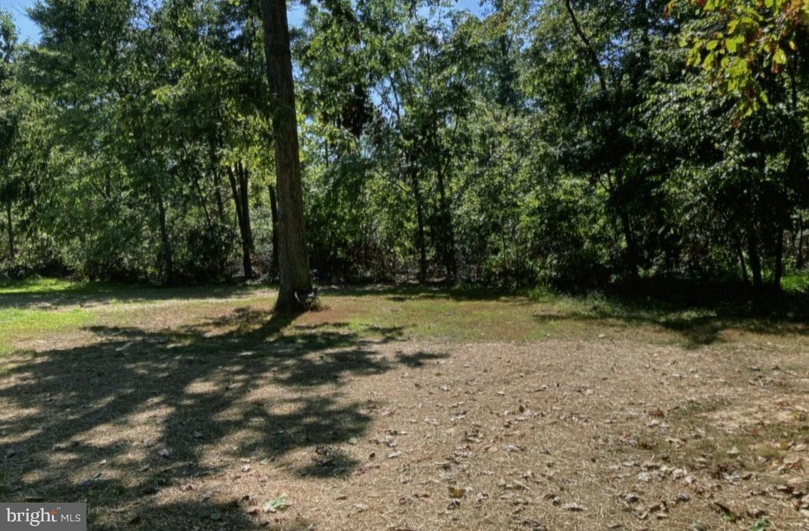 3067 Turkey Point Road North East, MD 21901 - Photo 9 of 21 Wooded View from Covered Porch