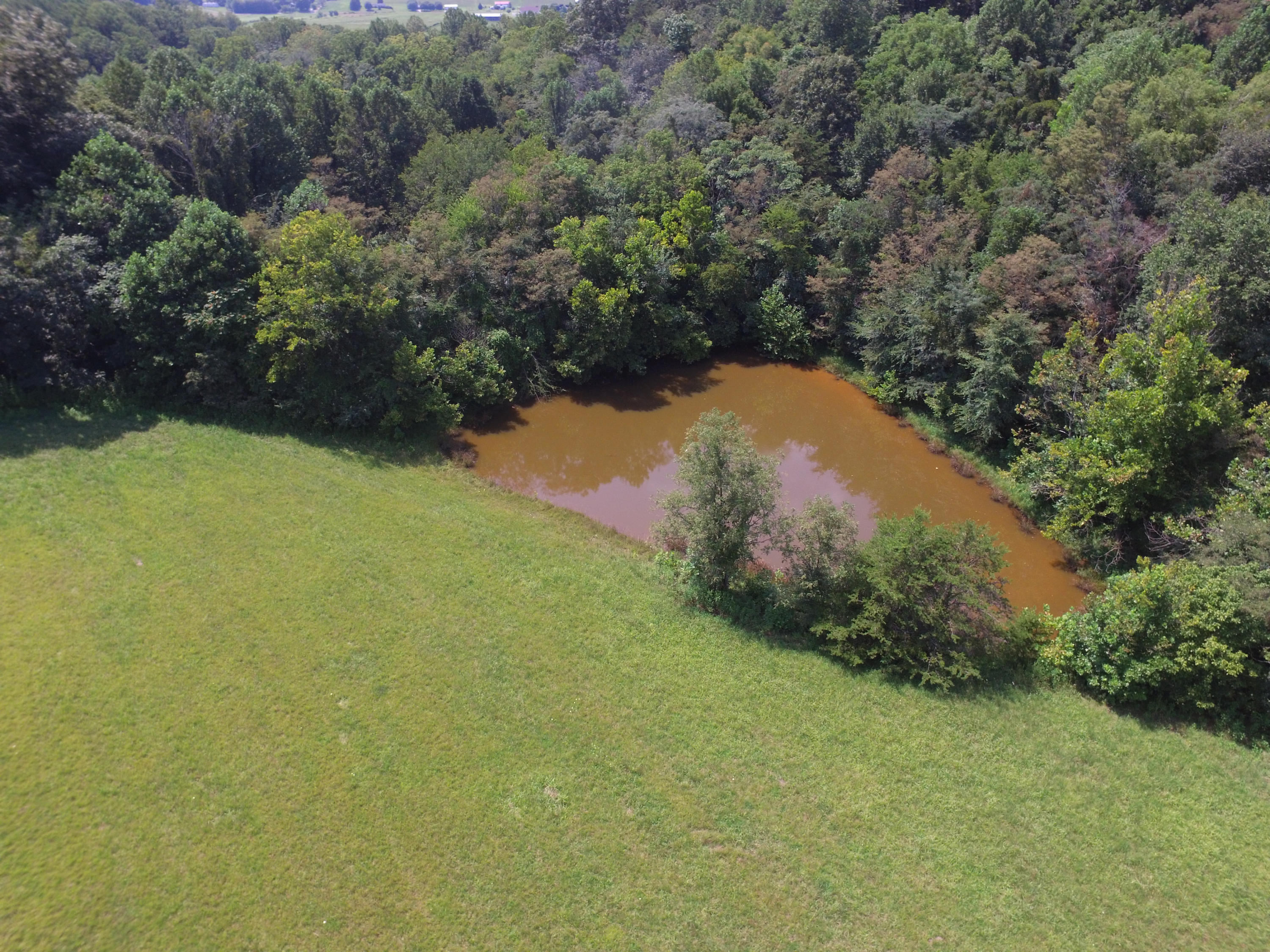 845-575 G'Fellers Road Chuckey, TN 37641 - Photo 22 of 29 DJI_0080