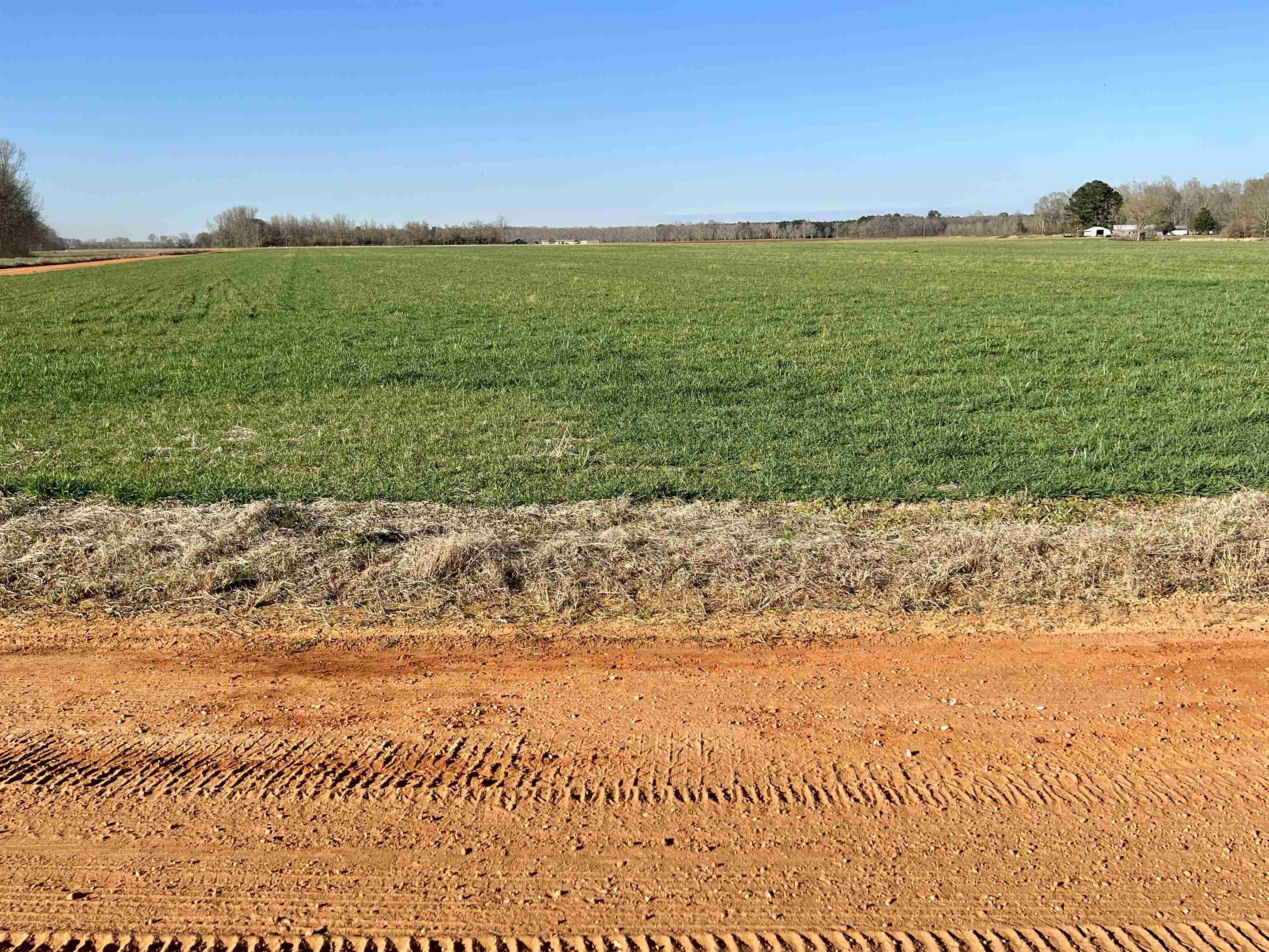 0 Country Road Atmore, AL 36502 - Photo 10 of 27