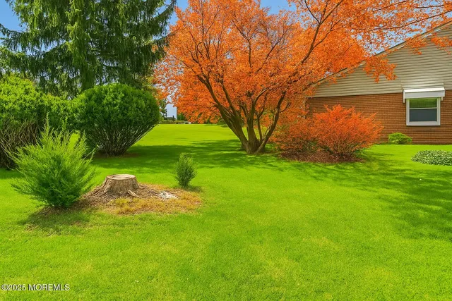 a view of yard with green space