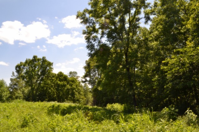0 Pea Ridge Fire Tower Road Celina, TN 38551 - Photo 33 of 53