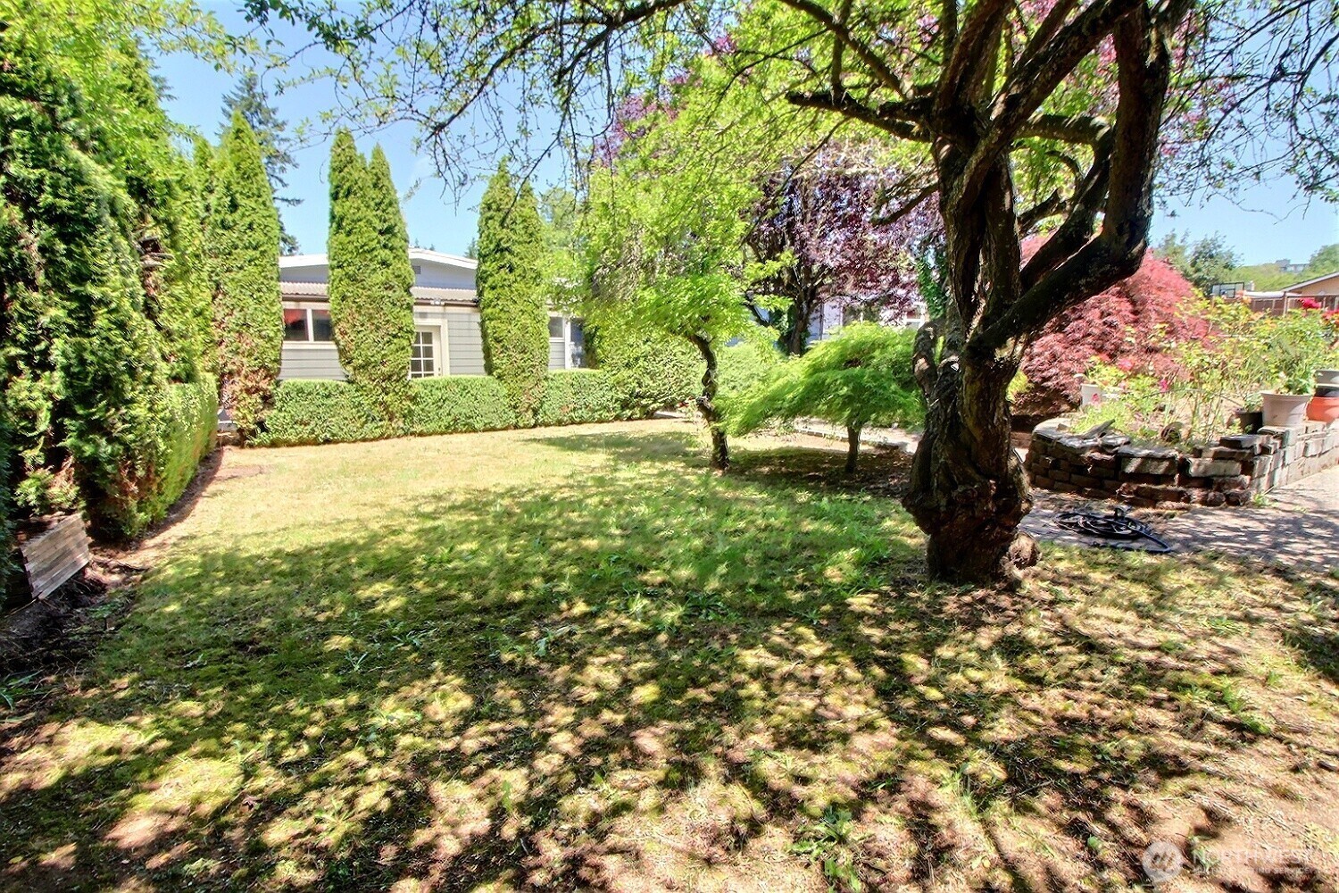 2309 Northeast 9th Place Renton, WA 98056 - Photo 30 of 38 a view of backyard with tree