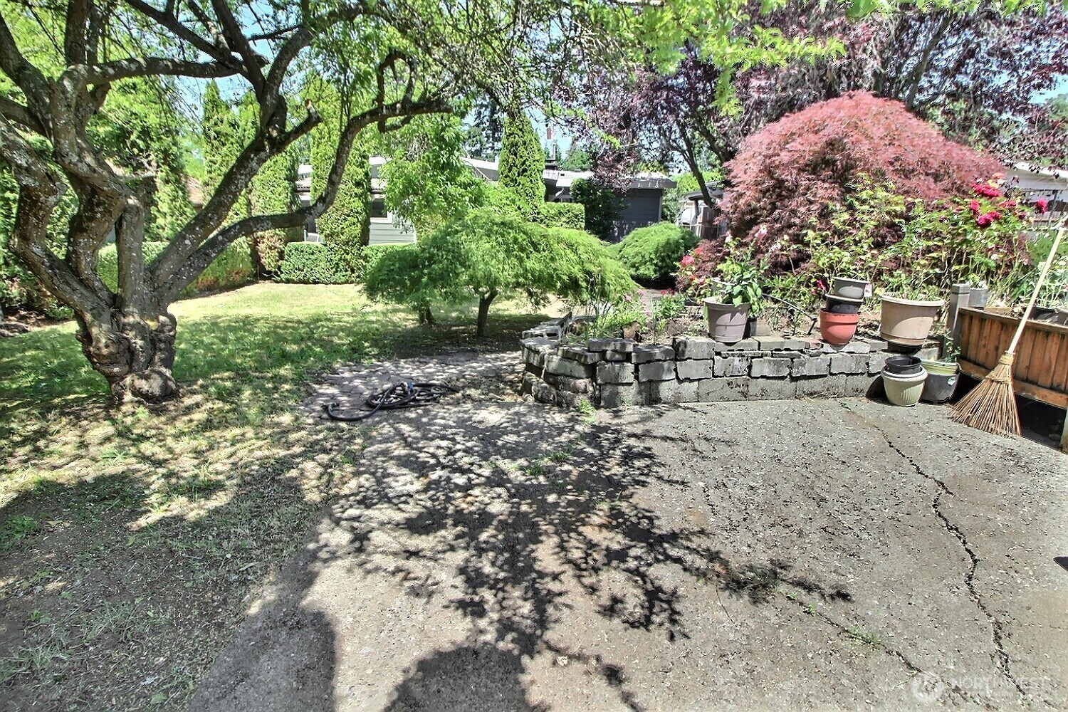2309 Northeast 9th Place Renton, WA 98056 - Photo 31 of 38 a backyard of a house with lots of green space
