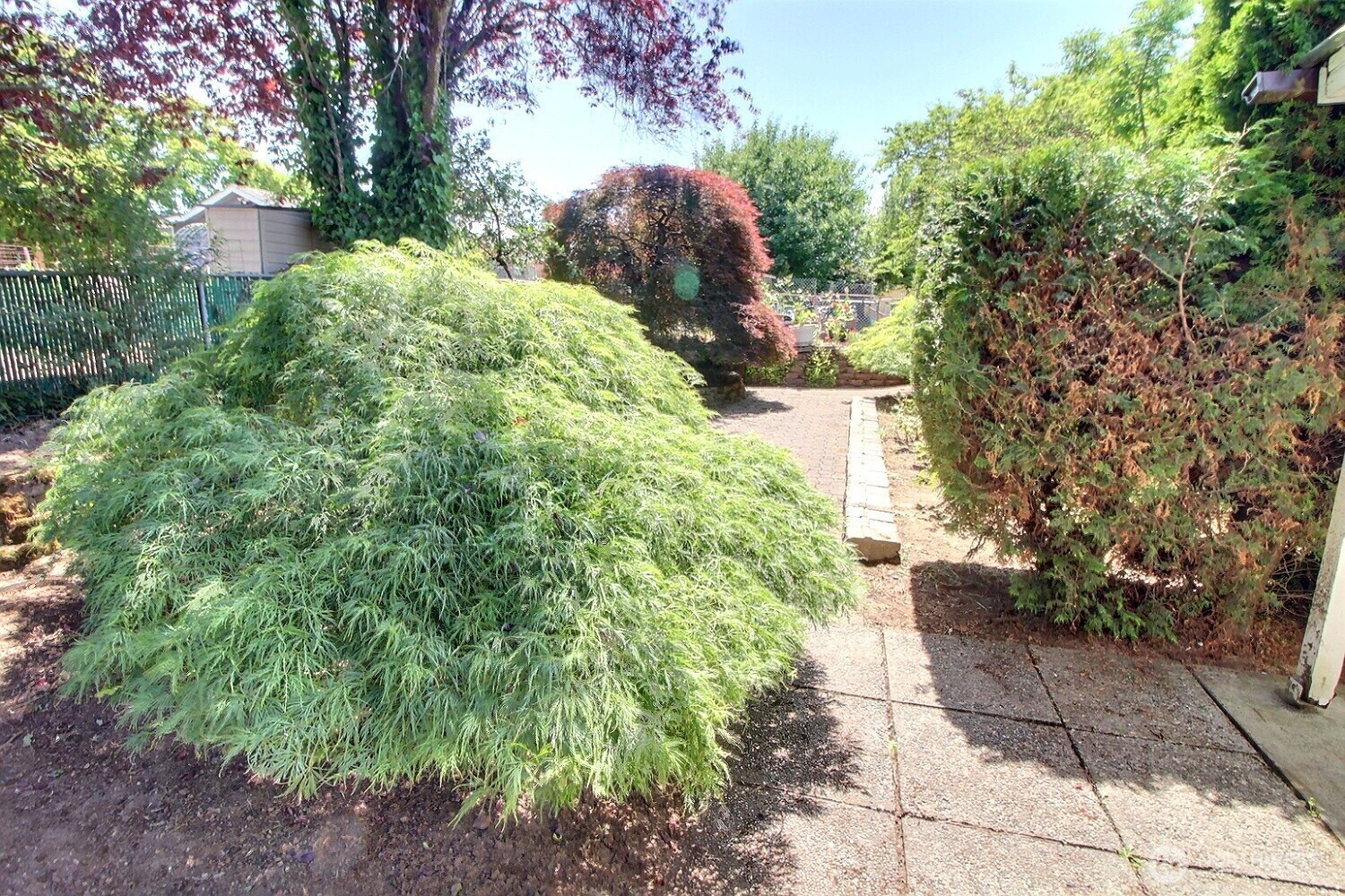 2309 Northeast 9th Place Renton, WA 98056 - Photo 34 of 38 a view of a garden with a pathway