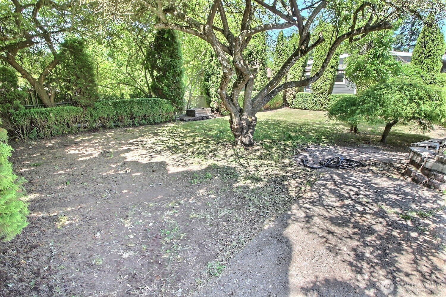 2309 Northeast 9th Place Renton, WA 98056 - Photo 35 of 38 a view of backyard with green space