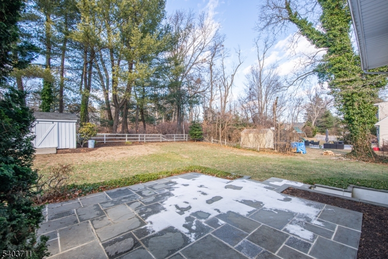 8 Abby Road Morristown, NJ 07960 - Photo 25 of 27 a view of yard with tree s