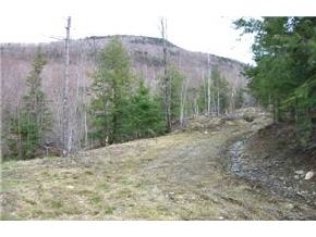 - Mines Road Lowell, VT 05847 - Photo 1 of 1