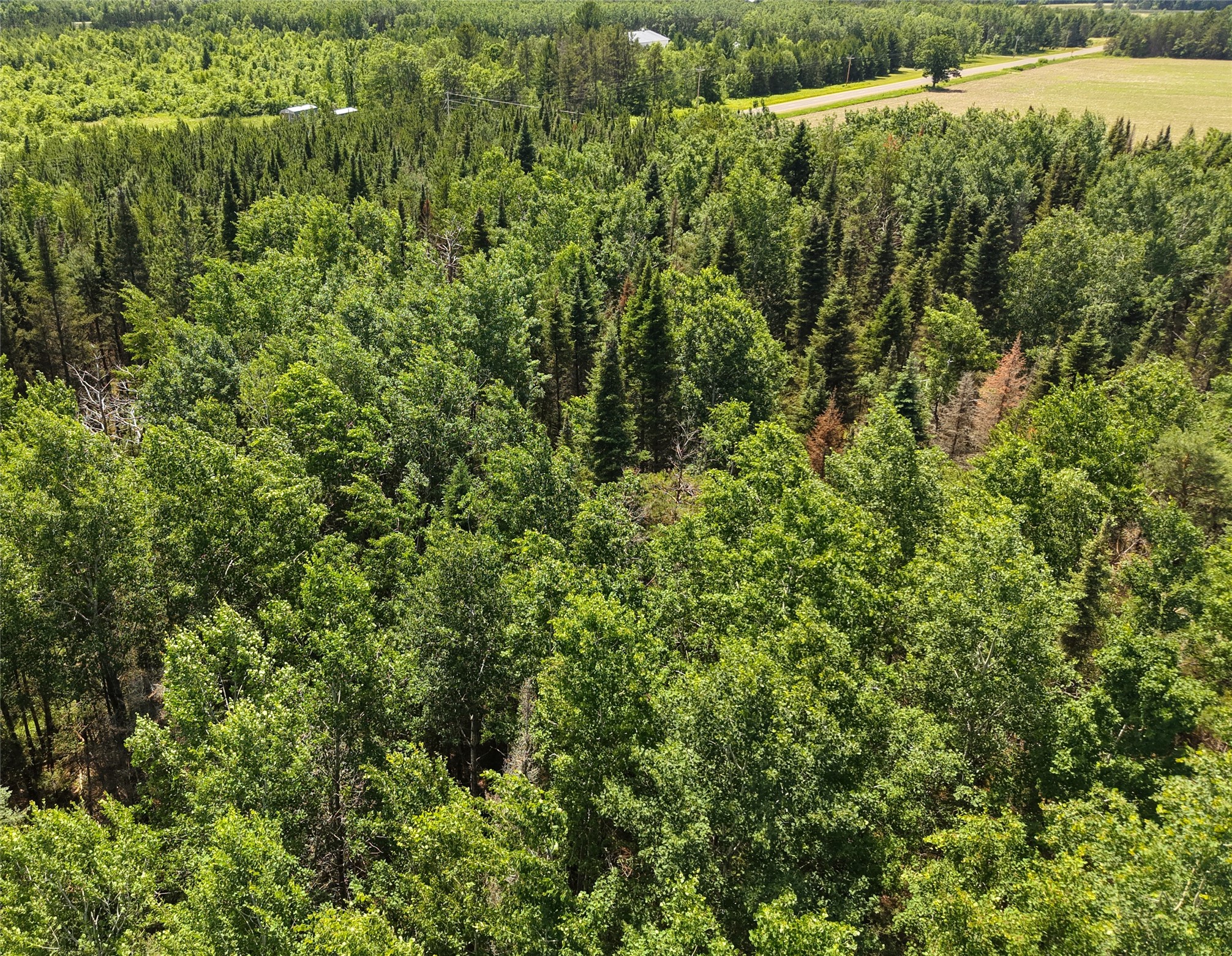 Lot 4 Main Road Minong, WI 54859 - Photo 7 of 19