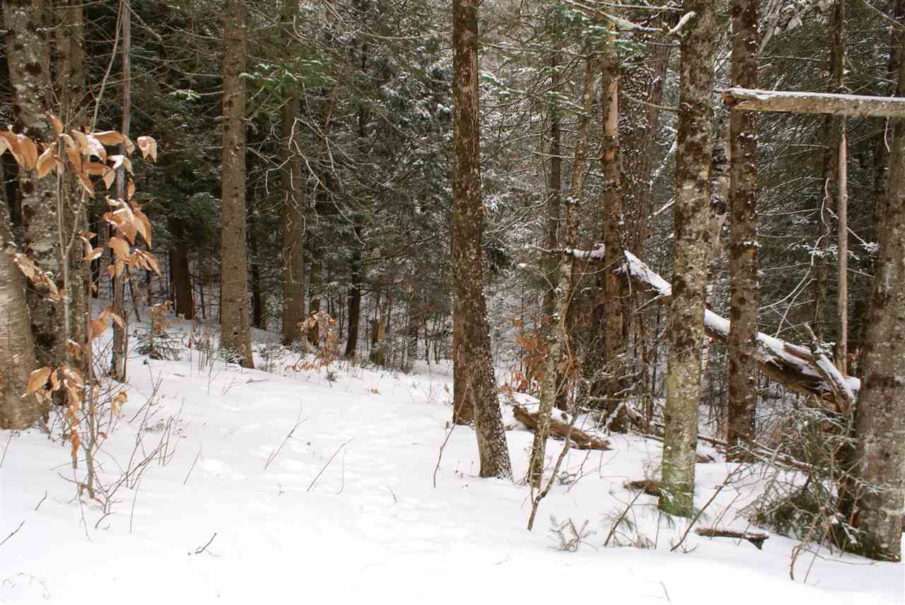62 Pent Road Chelsea, VT 05038 - Photo 13 of 18