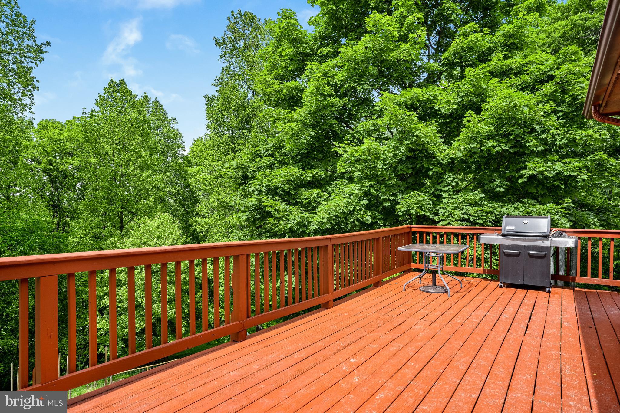 48 Greenfield Road Front Royal, VA 22630 - Photo 29 of 32