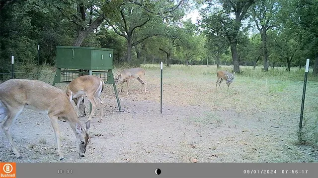 $399,000 | Tbd Tbd Fm-1702, Dublin, TX 76446