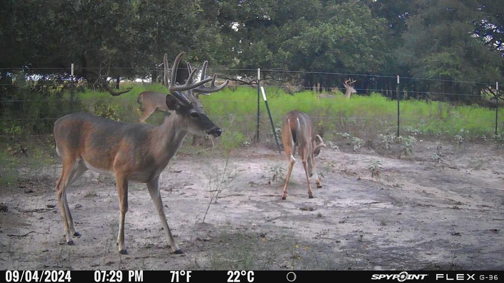 Tbd Tbd Fm-1702 Dublin, TX 76446 - Photo 23 of 23