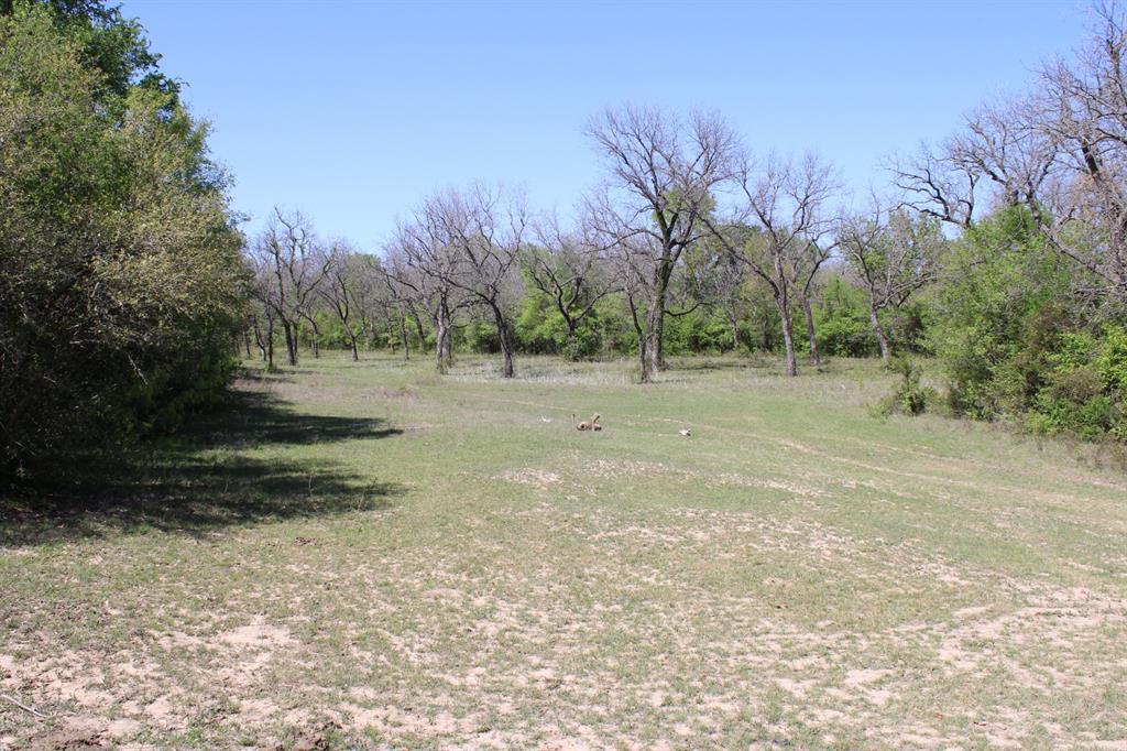 Tbd Tbd Fm-1702 Dublin, TX 76446 - Photo 5 of 23