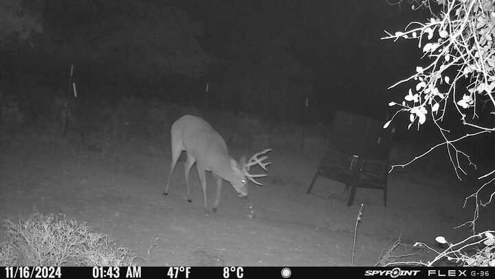 Tbd Tbd Fm-1702 Dublin, TX 76446 - Photo 7 of 23