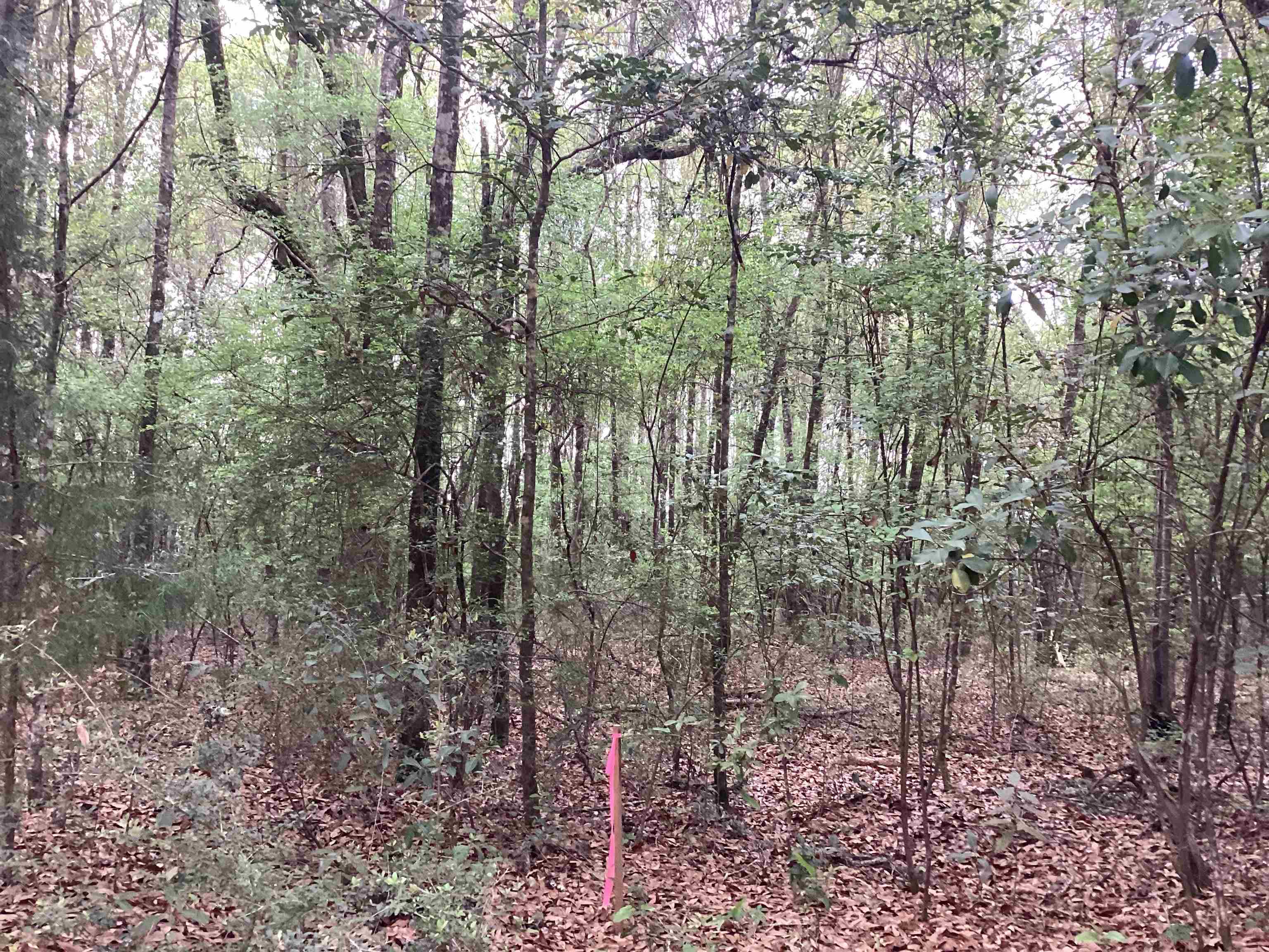 9 Beda Wing, AL 36483 - Photo 5 of 13 Gallery Image 5
