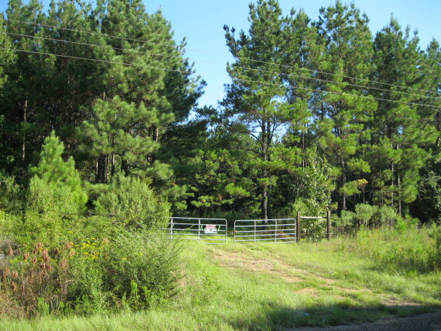 1301 Coons Mill Road Centreville, MS 39631 - Photo 1 of 1 Main View