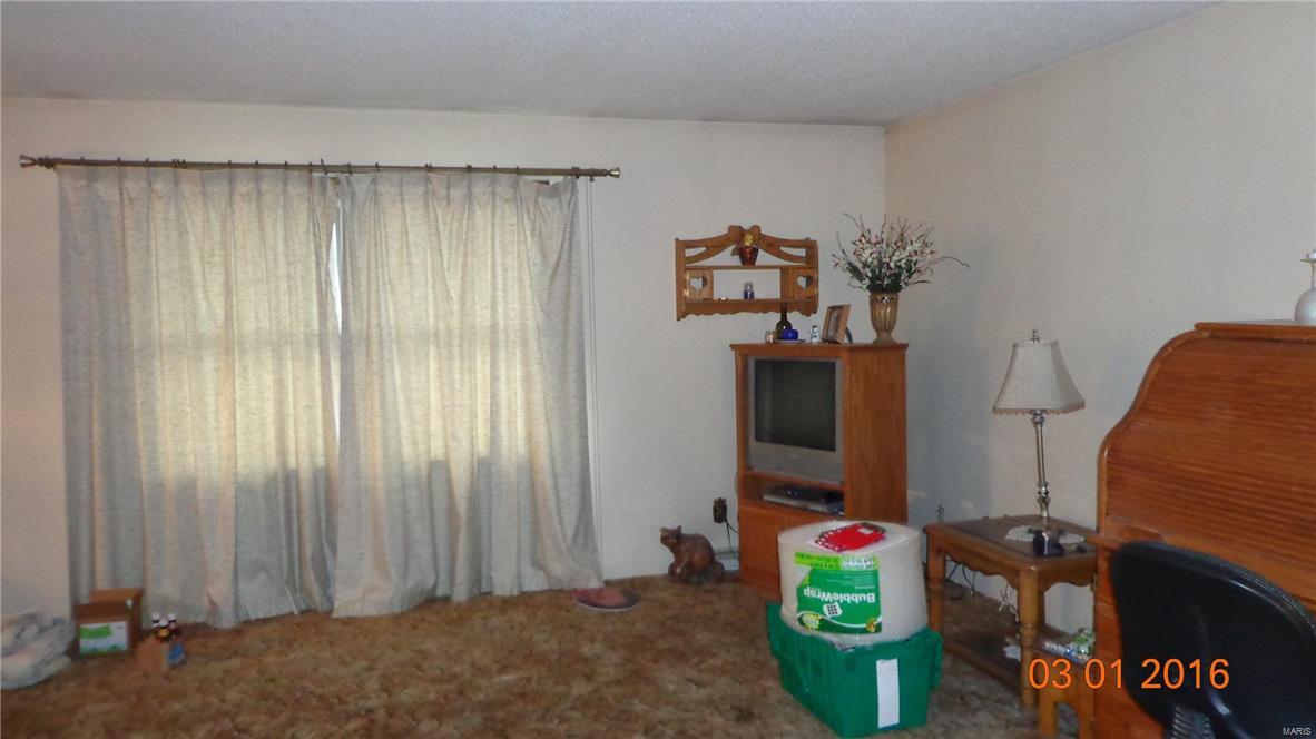 3806 Union School Road Chester, IL 62233 - Photo 3 of 12