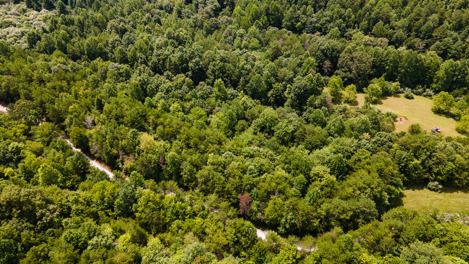 08_DJI_0899