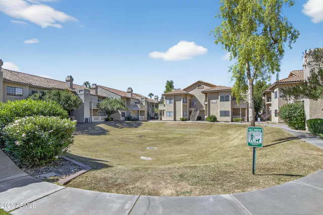 a view of backyard with swimming pool