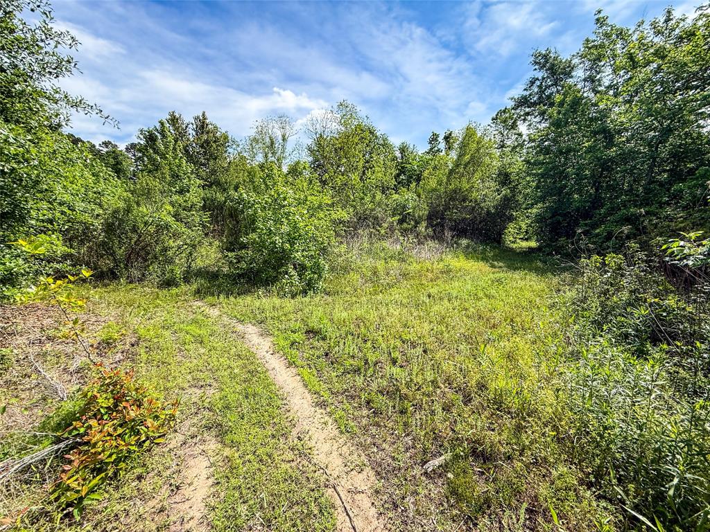 Tbd White Oak Road Big Sandy, TX 75755 - Photo 24 of 24