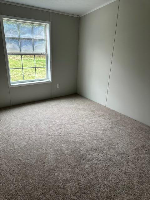 218 St Albans Road Corinna, ME 04928 - Photo 12 of 15 IMG_3325