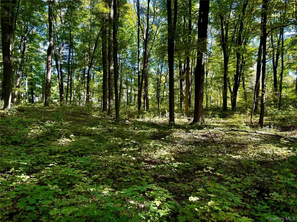 a view of outdoor space with trees