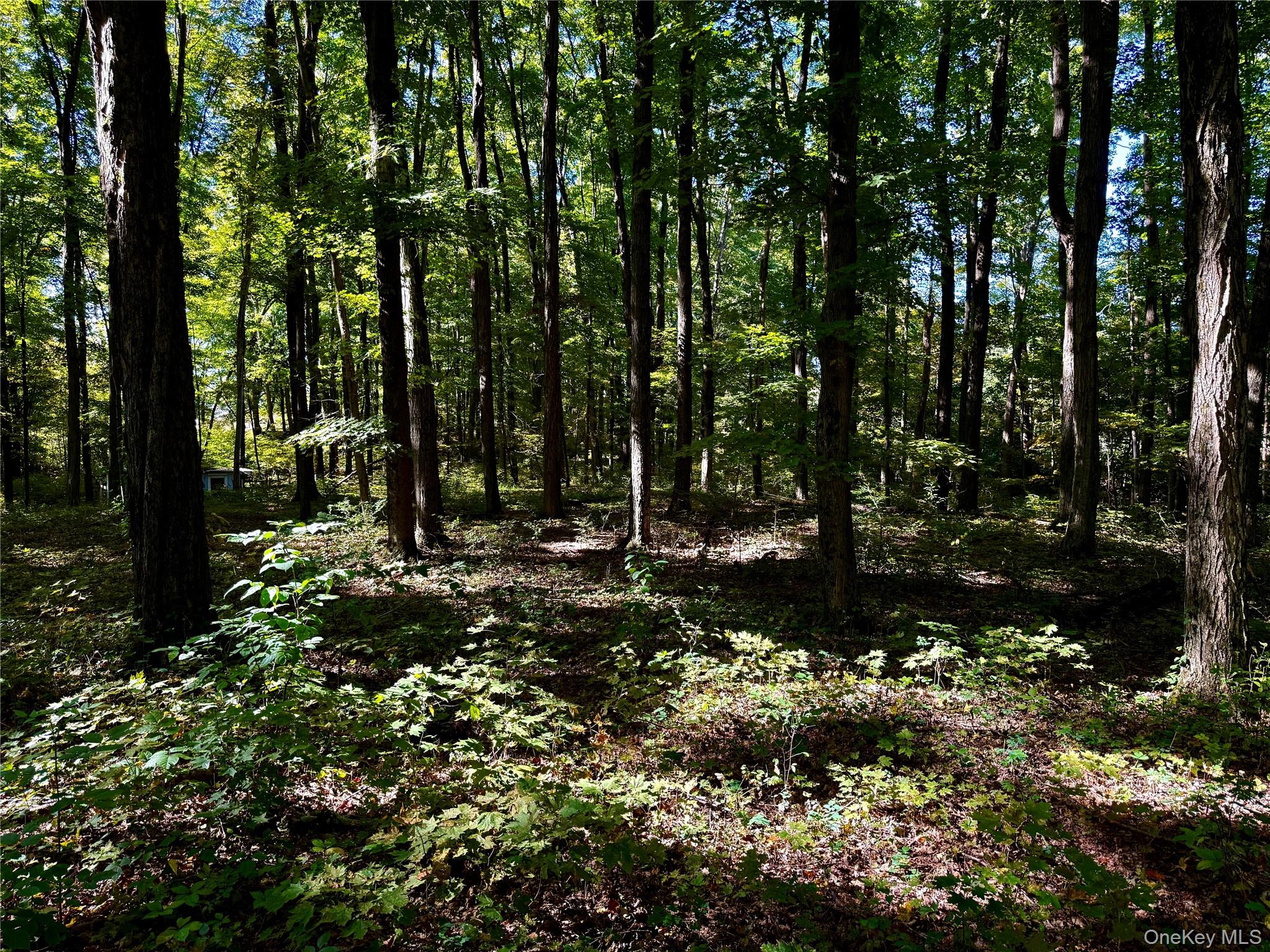 Freedom Road Pleasant Valley, NY 12569 - Photo 11 of 13 a view of outdoor space and yard