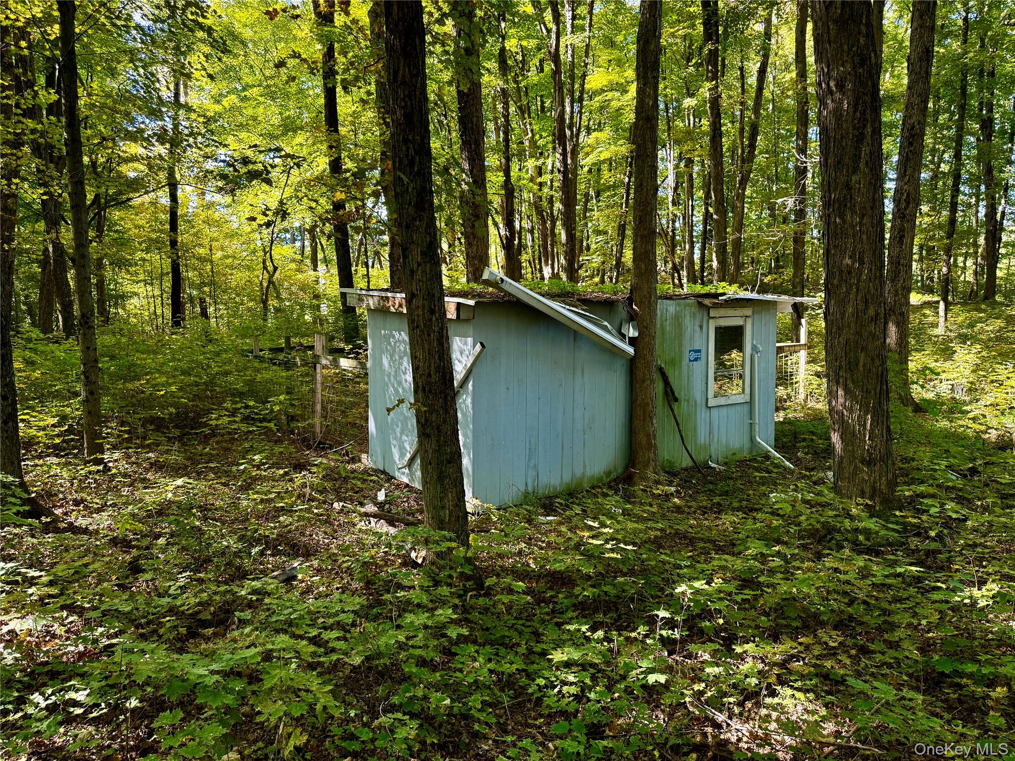 Freedom Road Pleasant Valley, NY 12569 - Photo 9 of 13 a backyard of a house with lots of green space