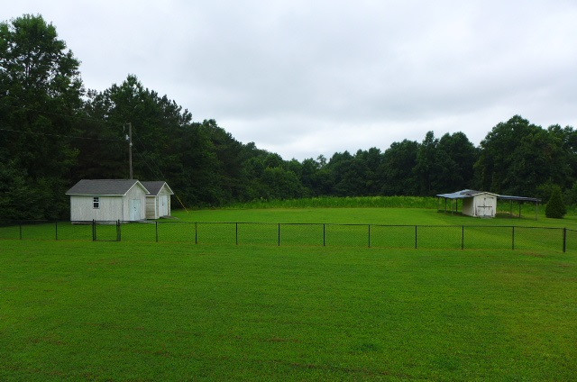 13743 Highway 39 Zebulon, NC 27597 - Photo 23 of 24 backyard