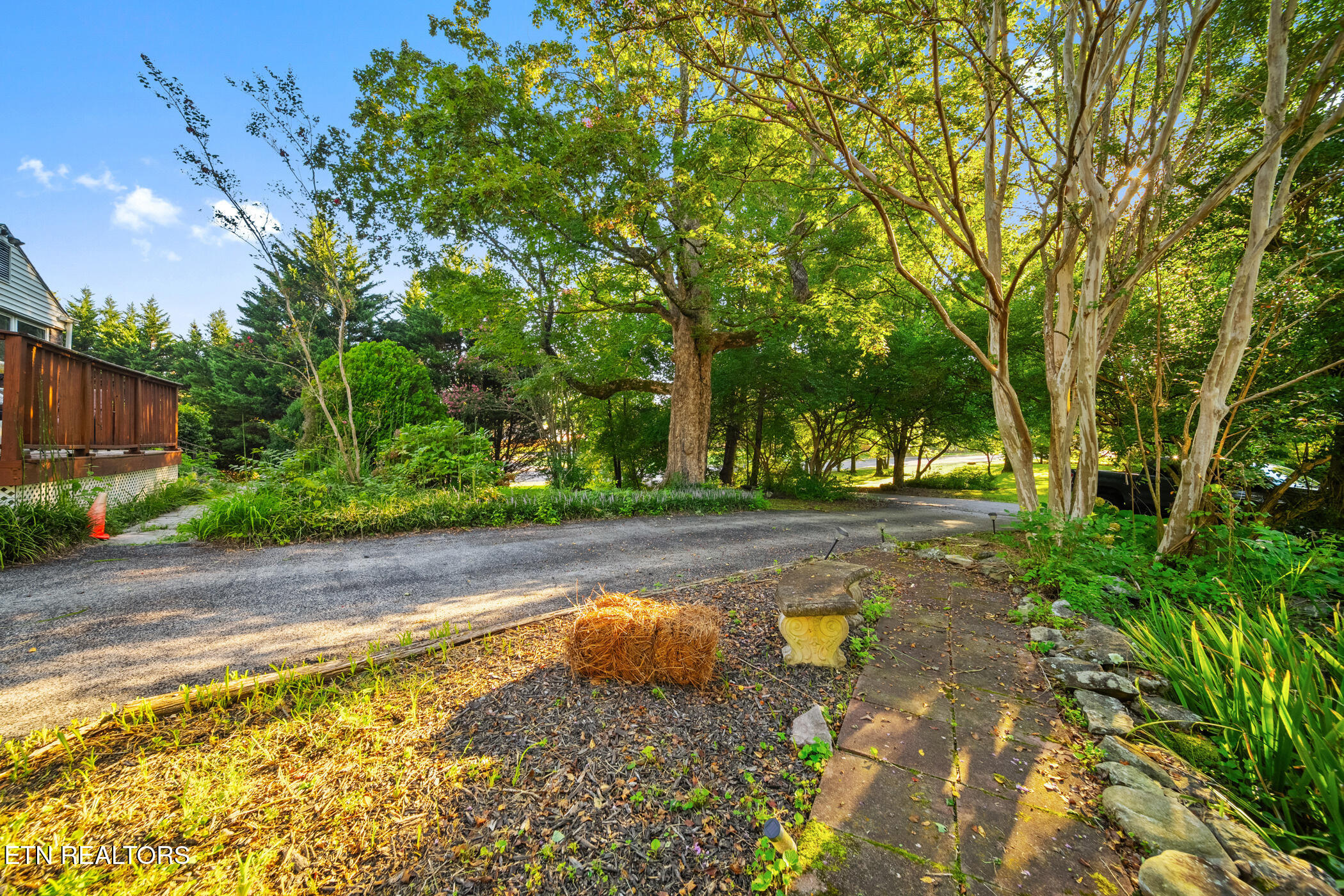 4303 Pleasant Ridge Road Knoxville, TN 37912 - Photo 19 of 23 EXTERIOR