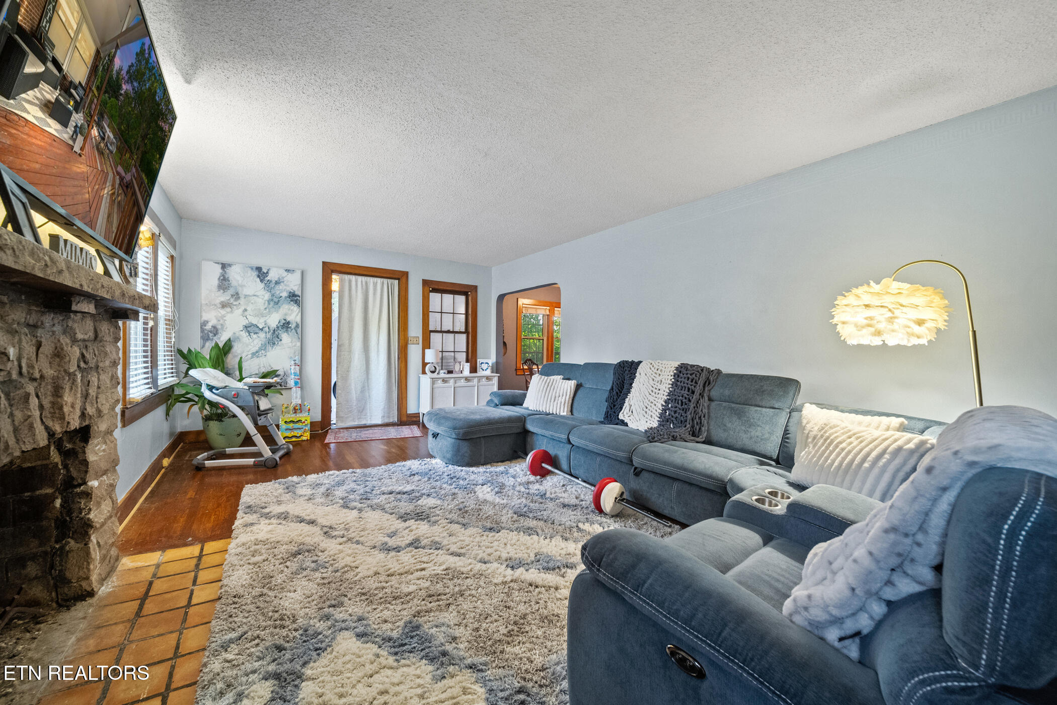 4303 Pleasant Ridge Road Knoxville, TN 37912 - Photo 4 of 23 LIVING ROOM