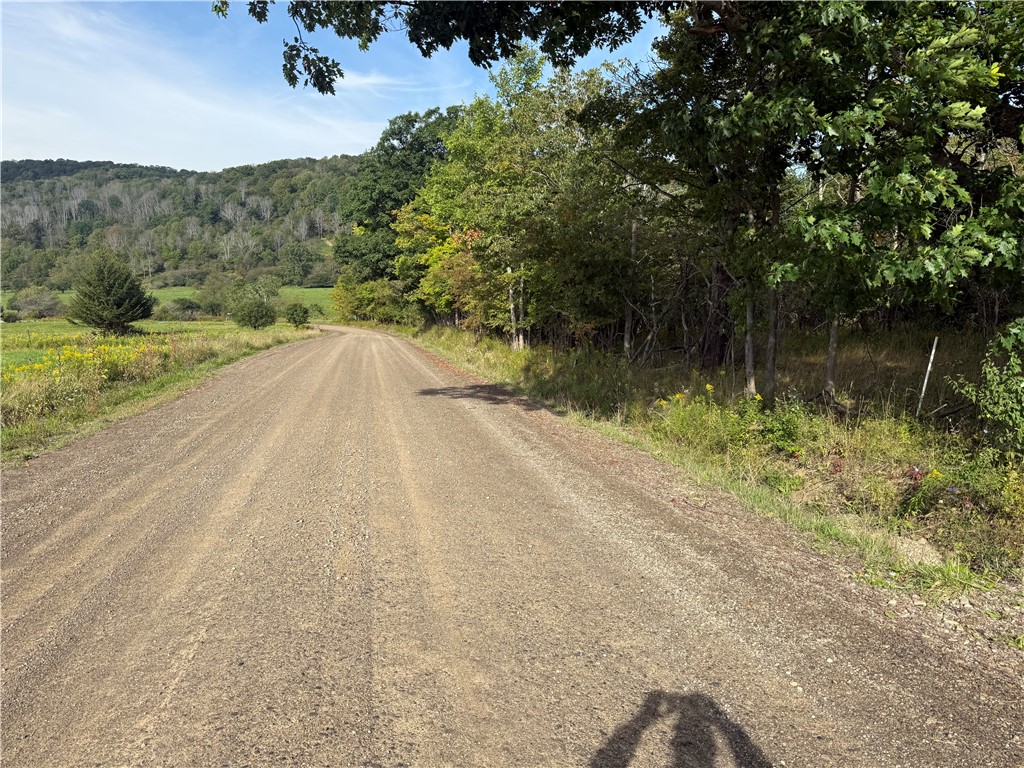 512 Fisher Road Alfred, NY 14806 - Photo 6 of 46 Entrance to 50 Acre Parcel/Roadway west